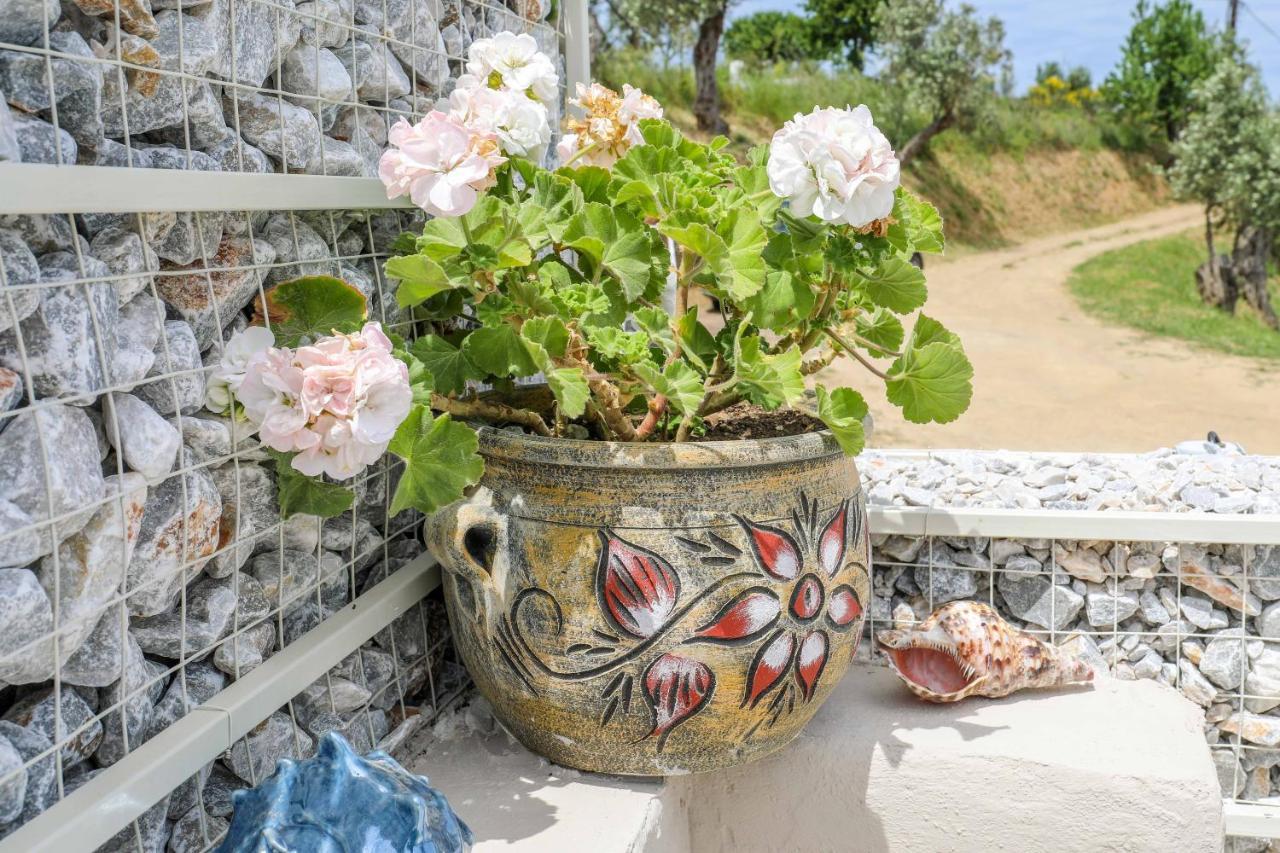 Casa Rozana - Skiathos Esterno foto